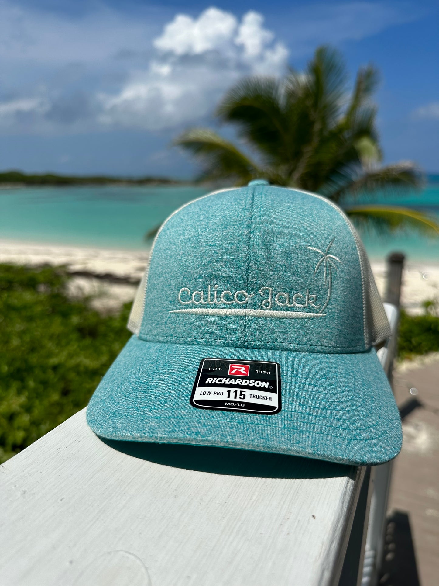 PALM SNAPBACK HAT